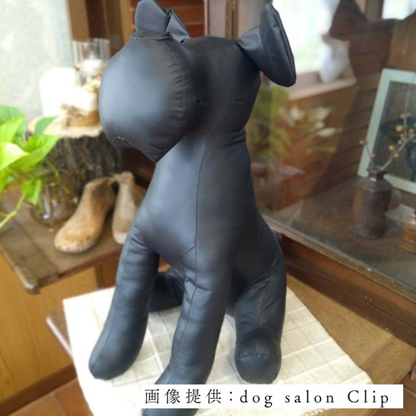 ★エシカルレザーSobagni（ソバニ）★ドッグトルソー♪シュナウザー♪等身大★犬★ぬいぐるみ★レザー　合皮 13枚目の画像