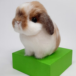 羊毛フェルト　うさうさ様 74a84d2cc950527ffb25183f66820d