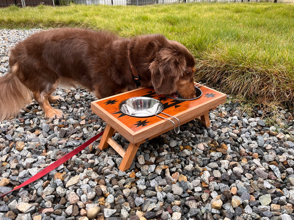 オルテガ柄　犬・猫用フードトレイ　35㎝×20㎝×13㎝ 1枚目の画像