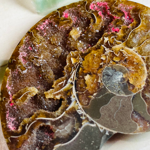 水晶共生✨【希少】 レインボー アンモナイト 化石 天然石 東洋占星術