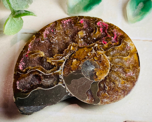 26675423db835a184cdd11ceea1210