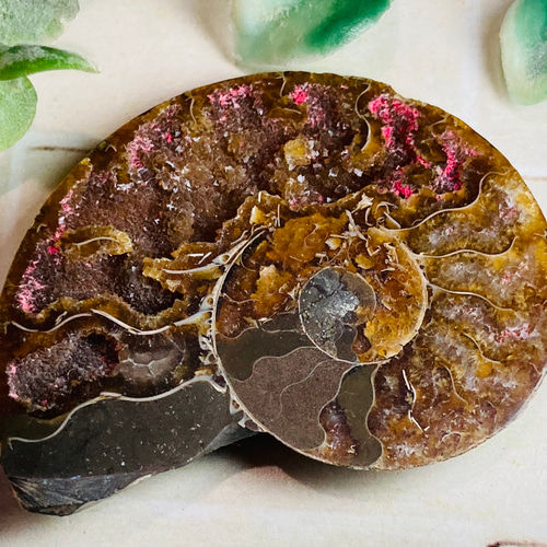 水晶共生✨【希少】 レインボー アンモナイト 化石 天然石 東洋占星術