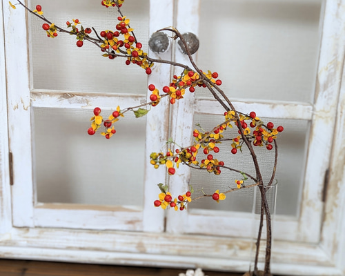 a7067c0ef957bf63b1ed06614ff2fc