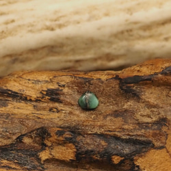0,3ct Damele Turquoise ミニ ダメイル ターコイズ DM-14 ルース 天然石 ナチュラル 1枚目の画像