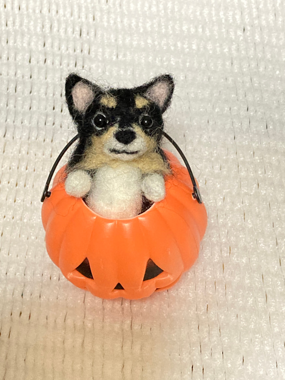 オーダー見本 羊毛フェルト黒チワワ ハロウィン 羊毛フェルト doglover 