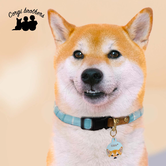 【 パピヨン 毛色4色 】パステル色 名入り 迷子札　ドッグタグ　ペット　うちの子　プレゼント　犬 10枚目の画像