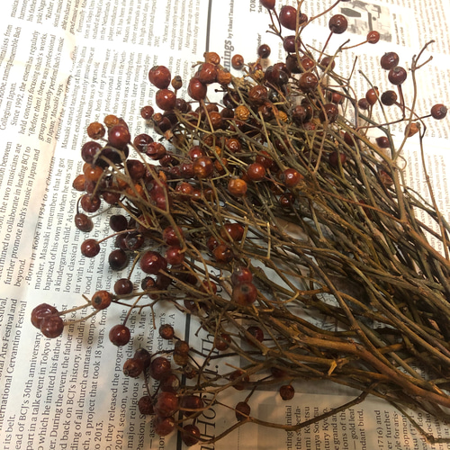 C ドライフラワー 野ばらの実 野バラの実 野薔薇 その他素材 み