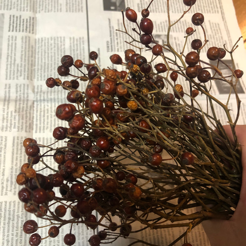 C ドライフラワー 野ばらの実 野バラの実 野薔薇 その他素材 み