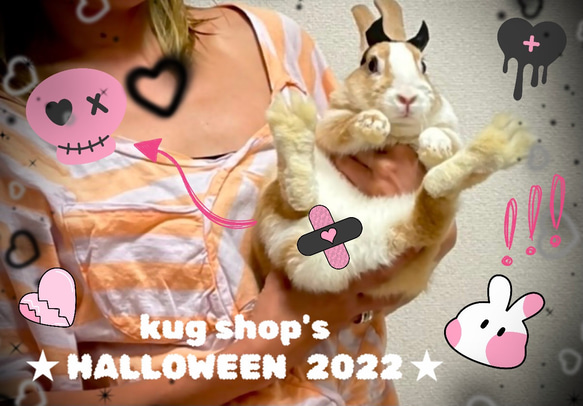 L うさぎ　ハーネス　kug うさぎハロウィンドレス 7枚目の画像