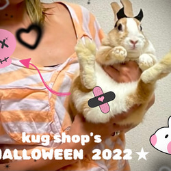 M  うさぎ　ハーネス　kug ハロウィンコスプレ　ハーネス 5枚目の画像