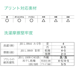  第3張的照片