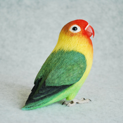 オカメインコ ノーマル オス 1707201 羊毛フェルト Primary Color