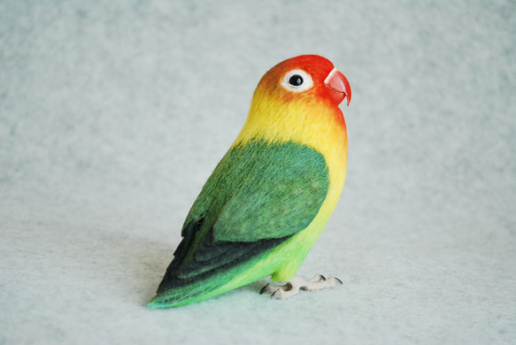 ボタンインコ 2103294 羊毛フェルト Primary Color Craft 通販