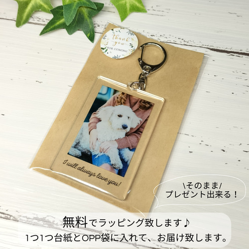 somunia にどねどりーむ CD アクリルキーホルダーチェキ グッズ付き somunia にどねどりーむ CD アクリルキーホルダー付き