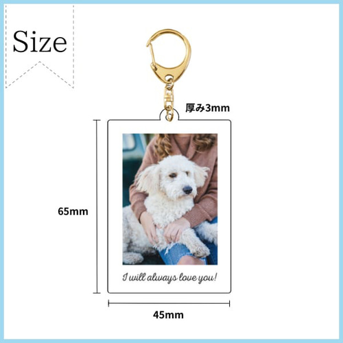 世界に一つだけ】チェキ風アクリルキーホルダー1個セット キーホルダー