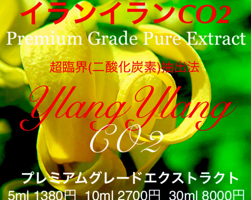 濃厚な花の香り】イランイランCO2エクストラクト10ml（5ml販売中