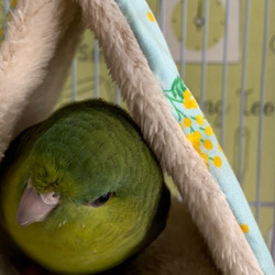 【M】選べる裏地◎丸洗いできるバードテント モコモコ 北欧柄 セキセイインコ コザクラ インコ マメルリハ 7枚目の画像