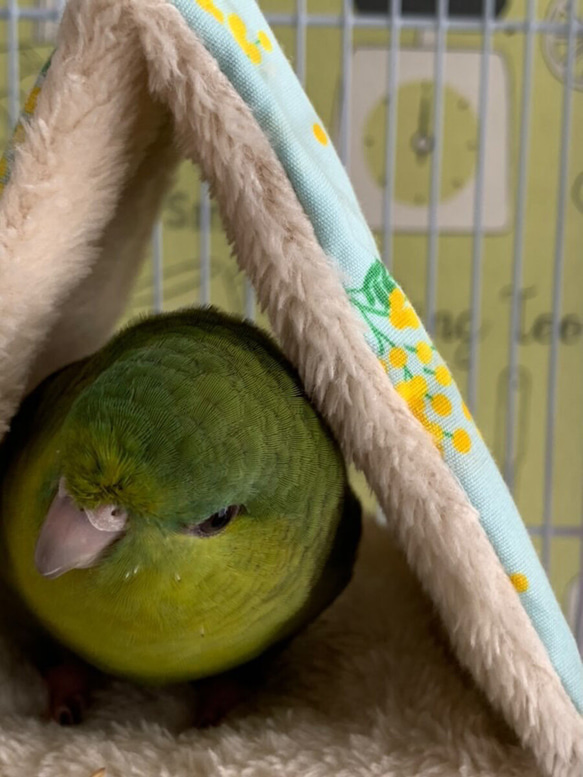 【M】選べる裏地◎丸洗いできるバードテント モコモコ 北欧柄 セキセイインコ コザクラ インコ マメルリハ 7枚目の画像