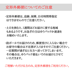  第7張的照片