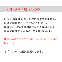  第8張的照片