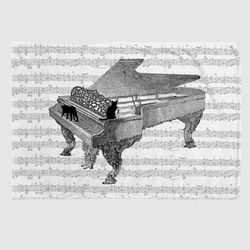 ピアノと黒猫のブランケット 1枚目の画像