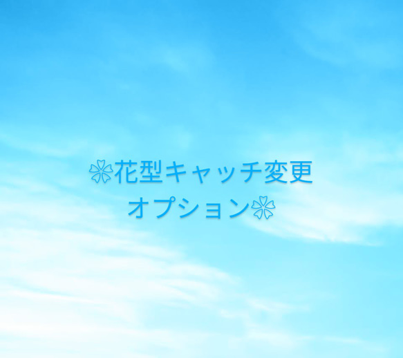 お花型シリコンキャッチへの変更 1枚目の画像