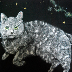 「耀き」　ペット　似顔絵 猫 Tシャツ　お好きなポーズ・写真で♪　リアル描写　綿　名入れ　プレゼント 3枚目の画像