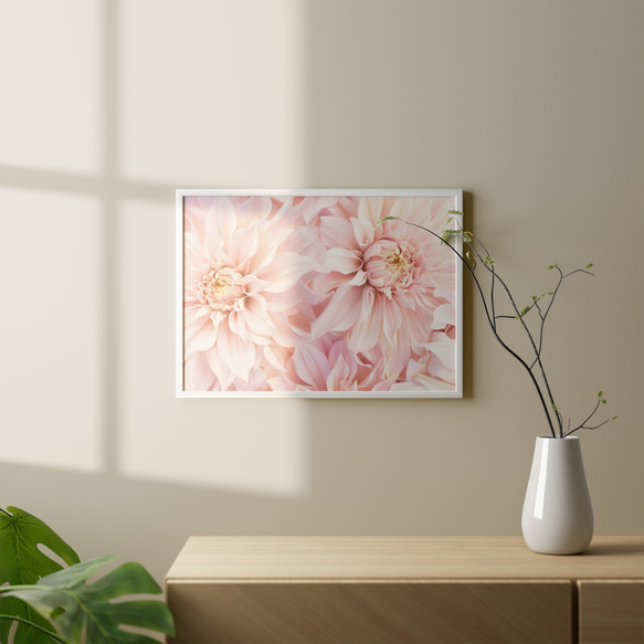 ボタニカル ピンク dahlia / インテリアポスター 海外アート /4447 2枚目の画像