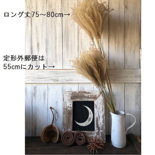 ススキ 10本」 そのまま飾れる高品質ドライフラワー 花材 インテリアや