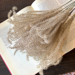 ススキ 10本」 そのまま飾れる高品質ドライフラワー 花材 インテリアや