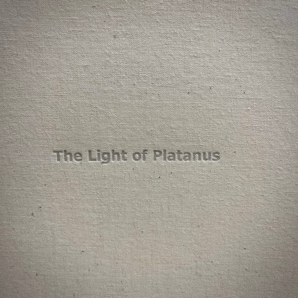 The Light of Platanus 2枚目の画像