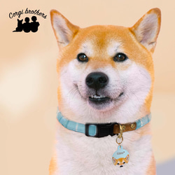 【 シュナウザー 毛色4色 】パステル色 名入り 迷子札　ドッグタグ　ペット　うちの子　プレゼント　犬 10枚目の画像