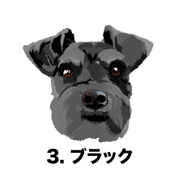 【 シュナウザー 毛色4色 】パステル色 名入り 迷子札　ドッグタグ　ペット　うちの子　プレゼント　犬 4枚目の画像