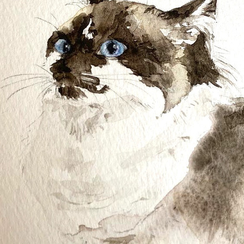 ハガキ大原画 [オーダーメイドねこ肖像画] 手描き水彩画 原画納品 小 