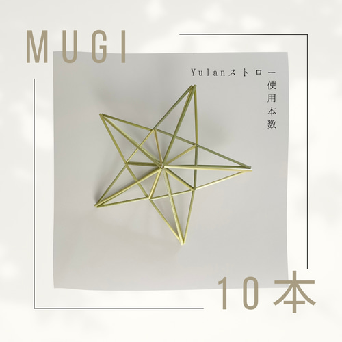 初めてのヒンメリセット 専用ストロー100本と針・糸 （ナチュラル・100