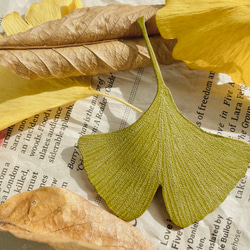 植物を育てるように経年変化する革★ 紅葉前のリアルなイチョウの葉のブックマーカー　国産本ヌメ革 1枚目の画像