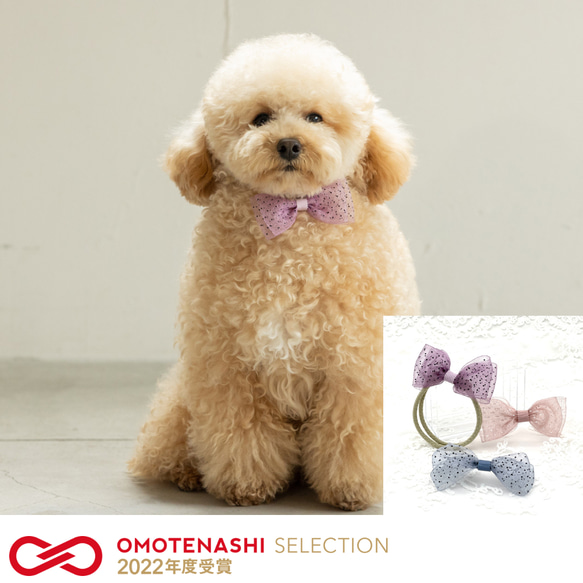 オーダー窓口】ペット用チョーカー 長さ調整可能タイプ 【オーダー窓口