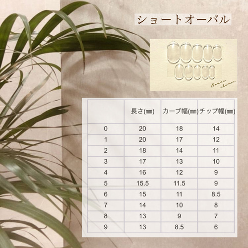 ネイルチップ241番456番417番 ネイルチップ ショート4タイプ シンプル[品番：JRKW0004016