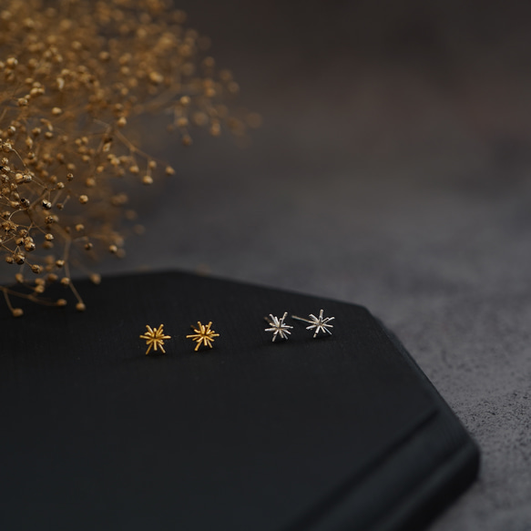 ao様ご予約ページ 6枚目の画像