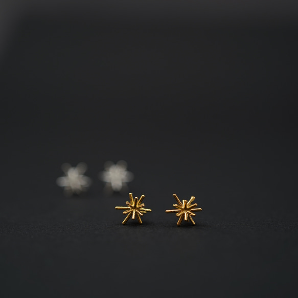 ao様ご予約ページ 4枚目の画像