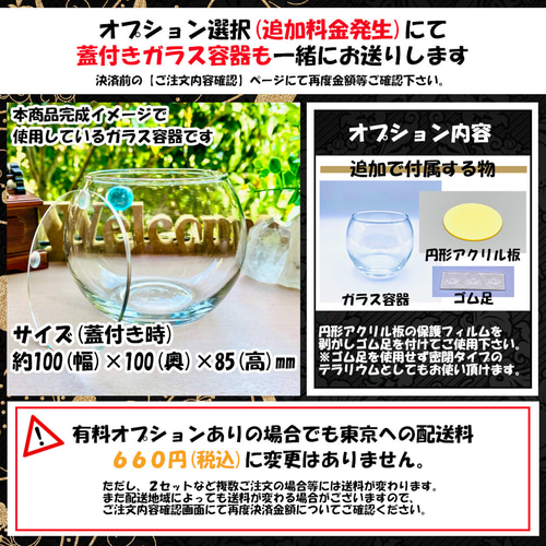 futa futa様確認ページ （ペヤング ディアーヌードル カレー味』を2月5  