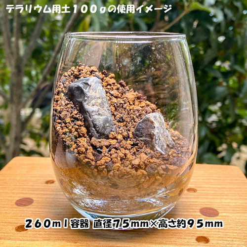 苔テラリウム 苔6種 計4点セット 苔パック 土 石 作り方説明書 手作り