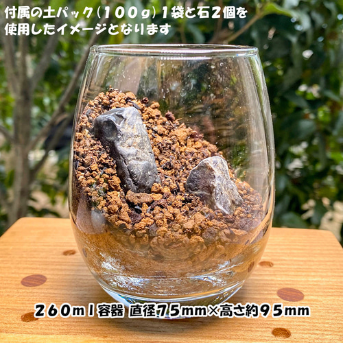 苔テラリウム 苔6種セット×2 苔パック 土 石 作り方説明書 手作り 母の