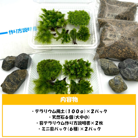 苔テラリウム 苔6種セット×2 苔パック 土 石 作り方説明書 手作り 母の日ギフト 新生活 インテリア雑貨 5枚目の画像