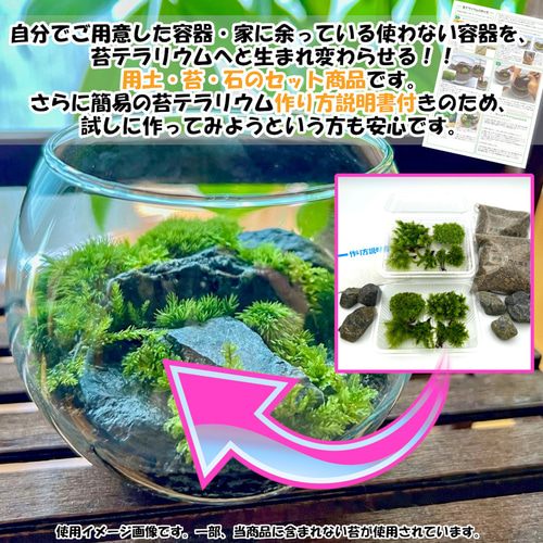 苔テラリウム 苔6種セット×2 苔パック 土 石 作り方説明書 手作り 母の