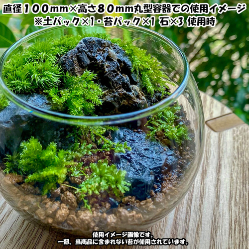 苔テラリウム 苔6種セット×2 苔パック 土 石 作り方説明書 手作り 母の