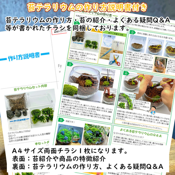 苔テラリウム 苔6種セット×2 苔パック 土 石 作り方説明書 手作り 母の日ギフト 新生活 インテリア雑貨 10枚目の画像