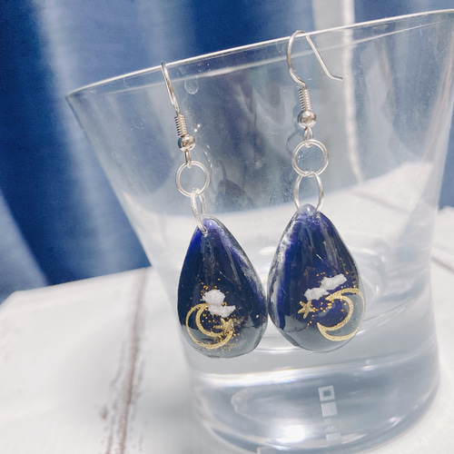 №10꙳☆レジンピアス☆*ﾟピアス レジン 星 ダークブルー 月 ピアス 