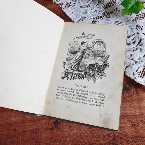 ゜+ 1879年 ボタニカルイラスト付き古書 英国の小説 ゜+ 1879年 ボタニカルイラスト付き古書 英国の小説