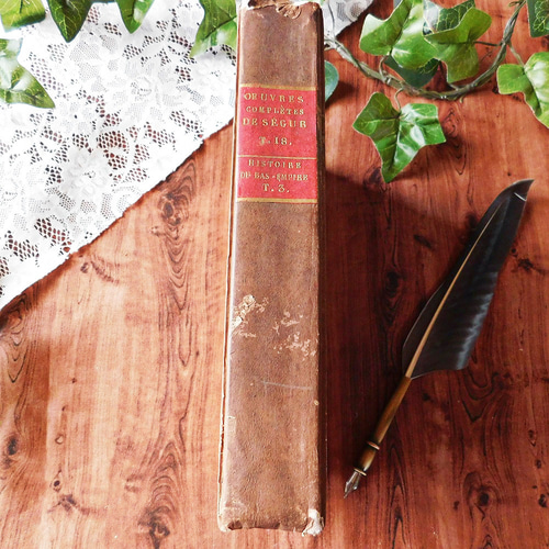 ゜+ 1826年 表紙が素敵なフランスの古書 アンティークブック